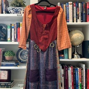 Hocus Pocus Mary Sanderson costume - women’s L/XL